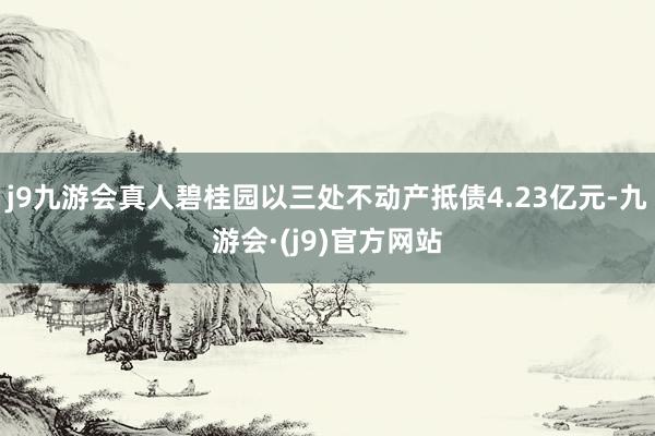 j9九游会真人碧桂园以三处不动产抵债4.23亿元-九游会·(j9)官方网站